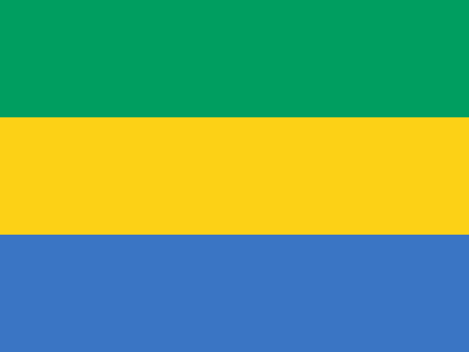 flag of Gabon